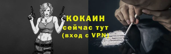spice Аркадак